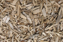 biomass boilers Trelogan